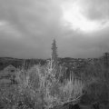 Webcam_20181204-073000