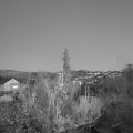 Webcam_20181204-170000
