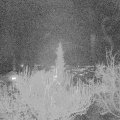 Webcam_20181204-183000