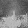Webcam_20181204-203000