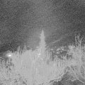 Webcam_20181204-210000