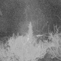Webcam_20181205-060000