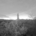 Webcam_20181205-073000