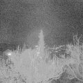 Webcam_20181205-180000