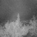 Webcam_20181206-060000