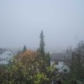 Webcam_20181206-113000
