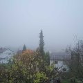 Webcam_20181206-120000