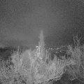 Webcam_20181207-063000