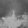 Webcam_20181207-213000