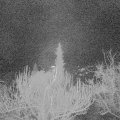 Webcam_20181208-060000