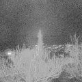 Webcam_20181208-173000