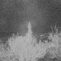 Webcam_20181209-063000