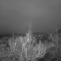 Webcam_20181209-073000