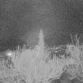 Webcam_20181209-183000