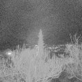 Webcam_20181209-190000
