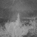 Webcam_20181210-070000