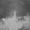 Webcam_20181210-203000