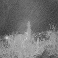 Webcam_20181211-193000