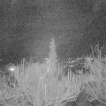 Webcam_20181211-200000