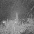 Webcam_20181211-220000