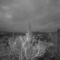 Webcam_20181212-073000