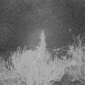 Webcam_20181213-060000
