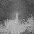 Webcam_20181213-063000