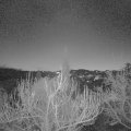 Webcam_20181213-070000