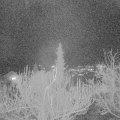 Webcam_20181213-190000