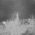 Webcam_20181213-210000