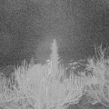 Webcam_20181215-070000