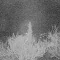 Webcam_20181216-063000