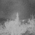 Webcam_20181216-070000