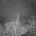 Webcam_20181218-060000