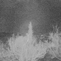 Webcam_20181219-063000