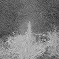 Webcam_20181219-070000
