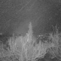 Webcam_20181220-060000