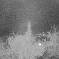 Webcam_20181221-070000