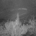 Webcam_20181223-060000