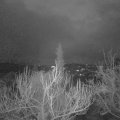 Webcam_20181223-073000