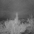 Webcam_20181224-063000