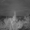 Webcam_20181225-073000