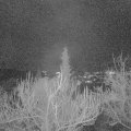 Webcam_20181225-173000