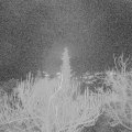 Webcam_20181225-180000