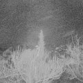 Webcam_20181226-060000