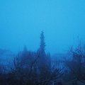 Webcam_20181226-080000