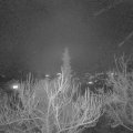 Webcam_20181226-213000