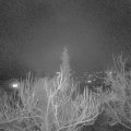 Webcam_20181226-220000