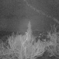 Webcam_20181227-060000