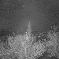 Webcam_20181227-063000